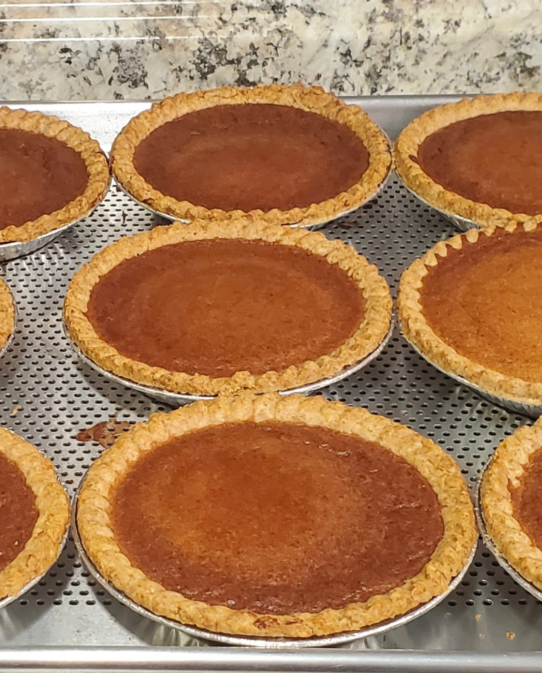 COMBO--Nation's Best Bean Pie/Butternut Squash Pie