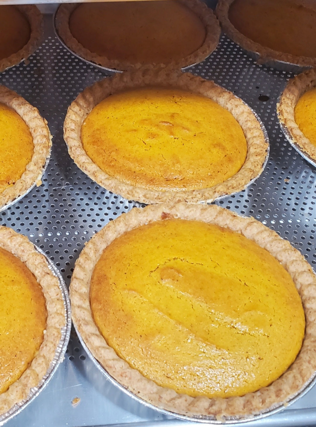 COMBO--Nation's Best Bean Pie/Butternut Squash Pie
